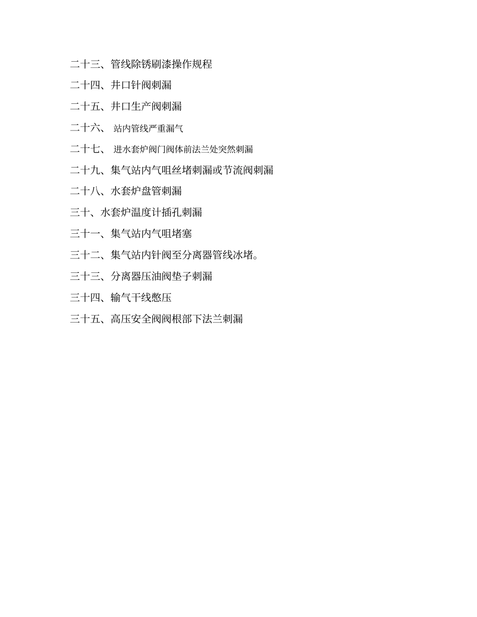 天然气井站场操作规程_第2页