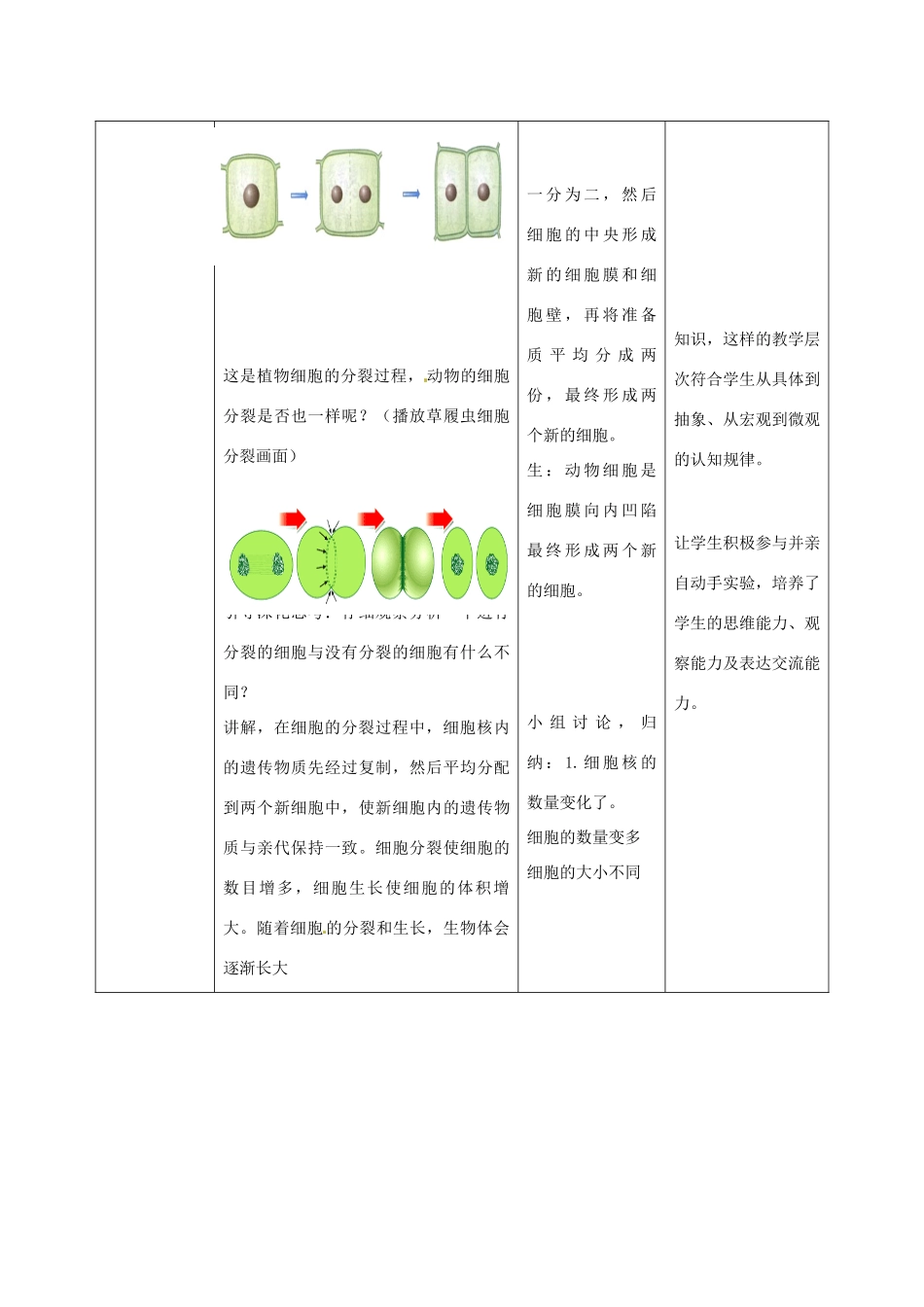 山东省滕州市大坞镇大坞中学八年级生物 第四章 第二节 细胞的分裂与分化第一课时教案 新人教版_第3页