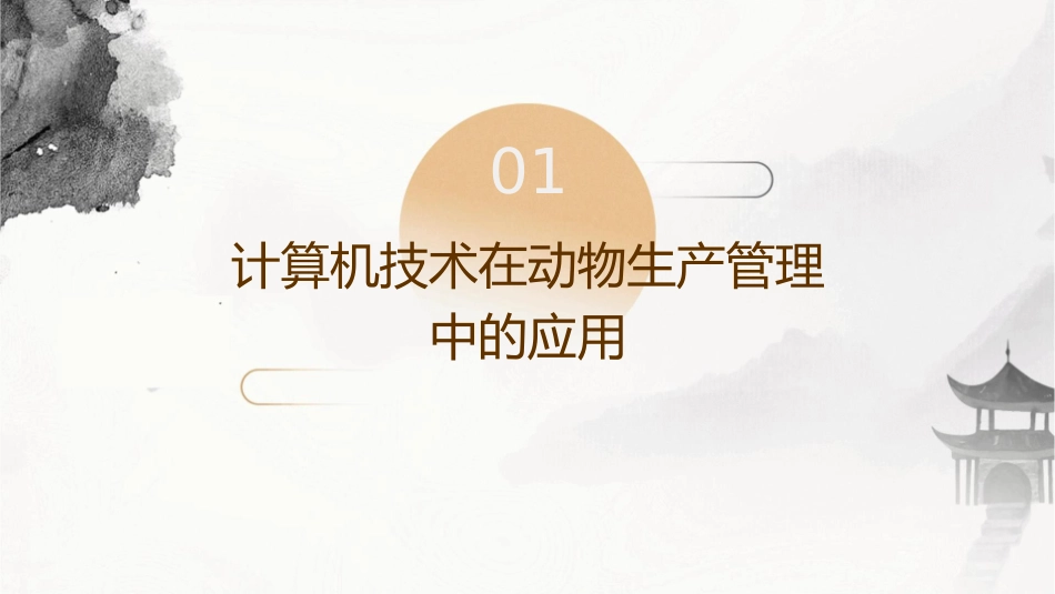 计算机与动物生产管理决策课件_第3页
