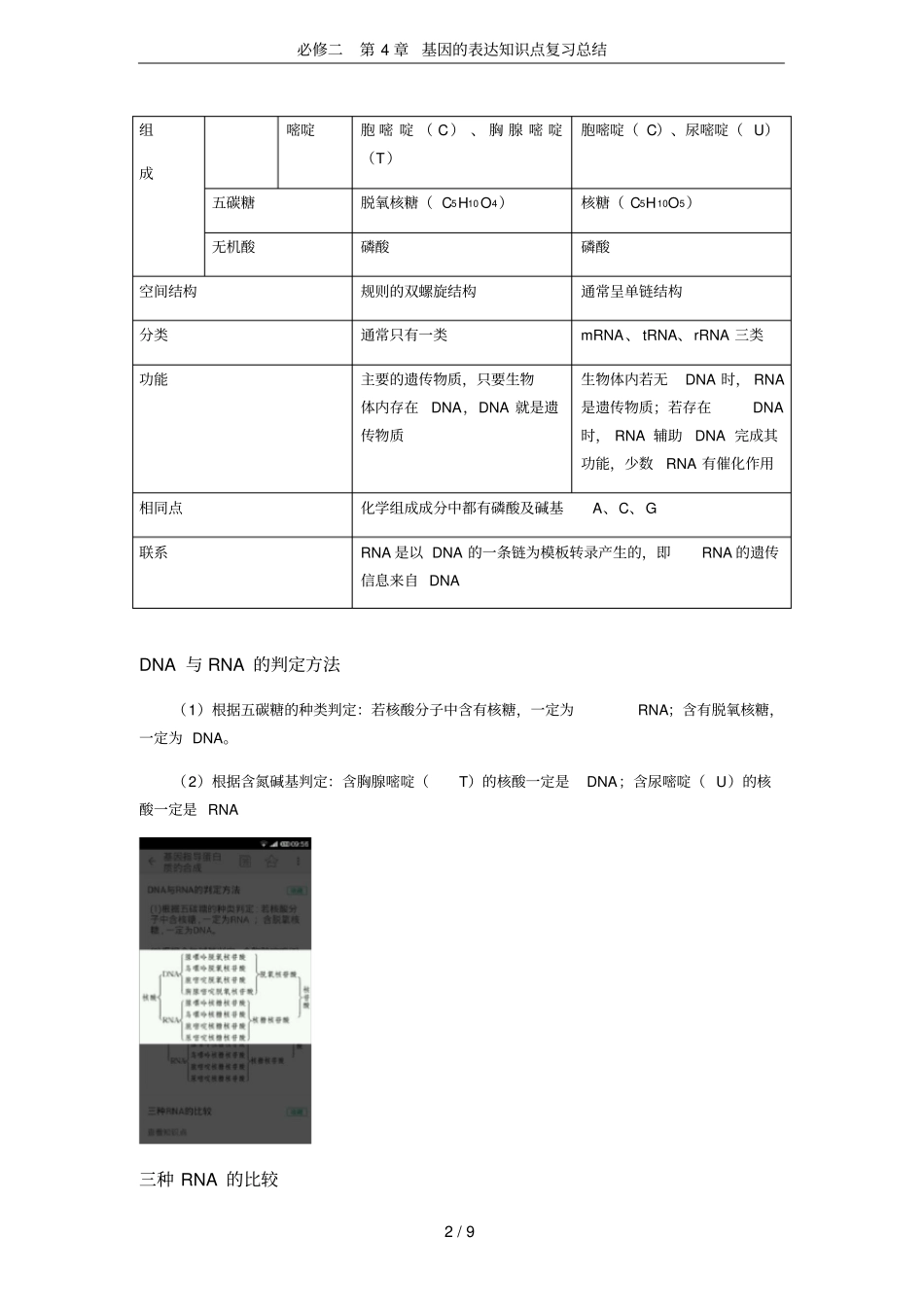 (word完整版)必修二第4章基因的表达知识点复习总结,推荐文档_第2页