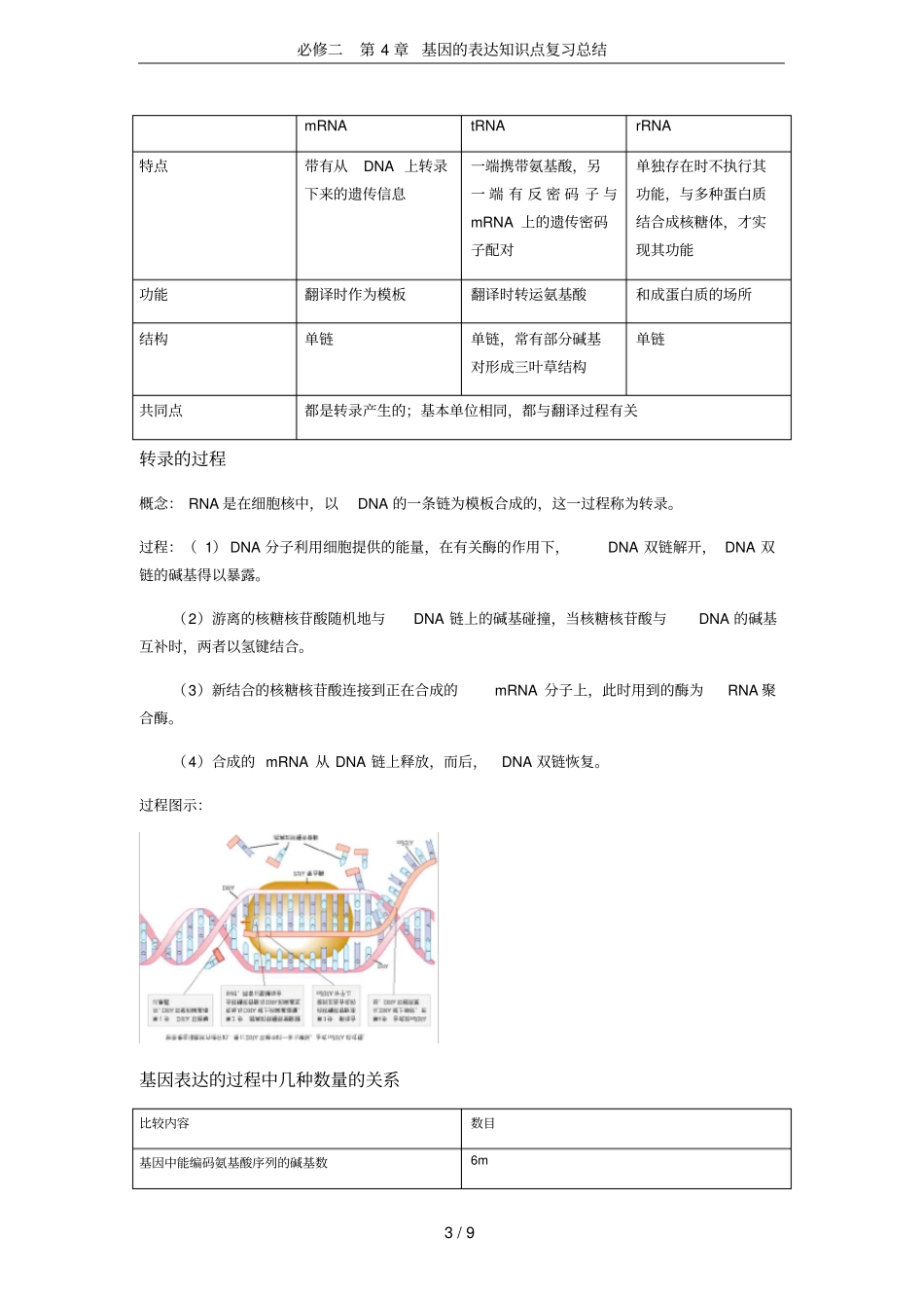 (word完整版)必修二第4章基因的表达知识点复习总结,推荐文档_第3页