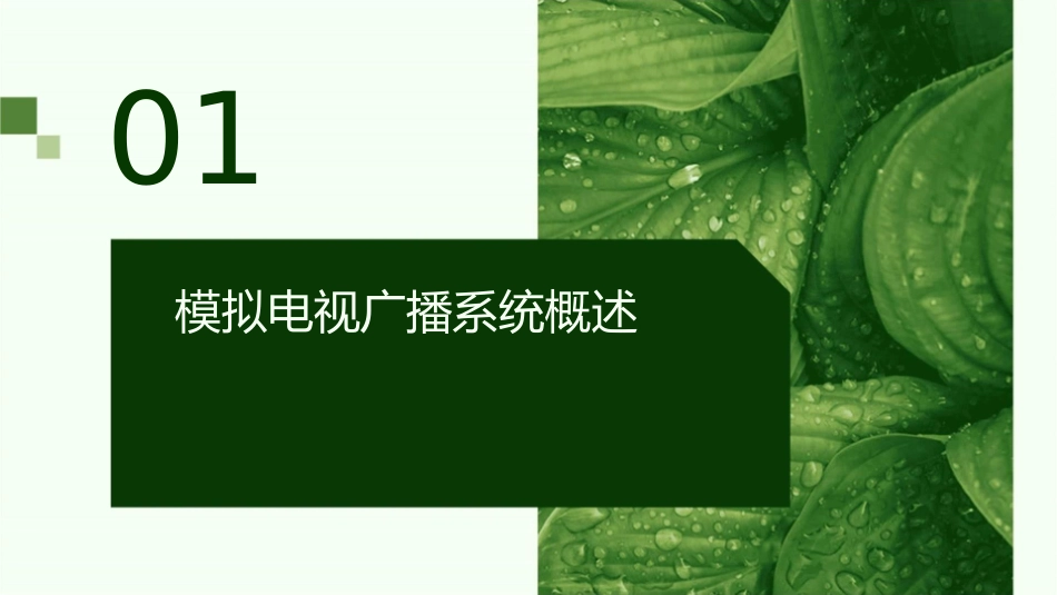 模拟电视广播系统..课件_第3页