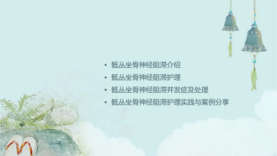 骶丛坐骨神经阻滞护理课件_第2页