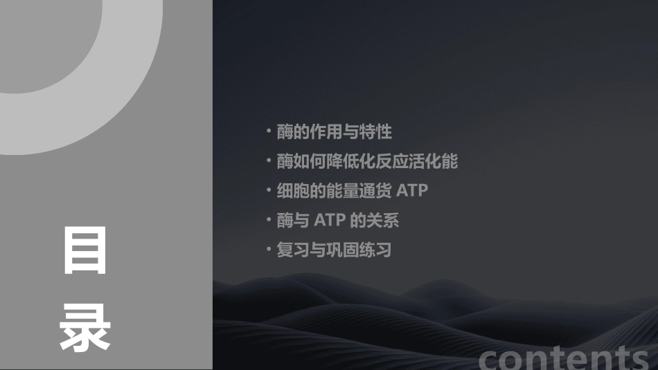 高三生物二轮收尾细致复习 降低化反应活化能的酶 细胞的能量通货ATP课件_第2页