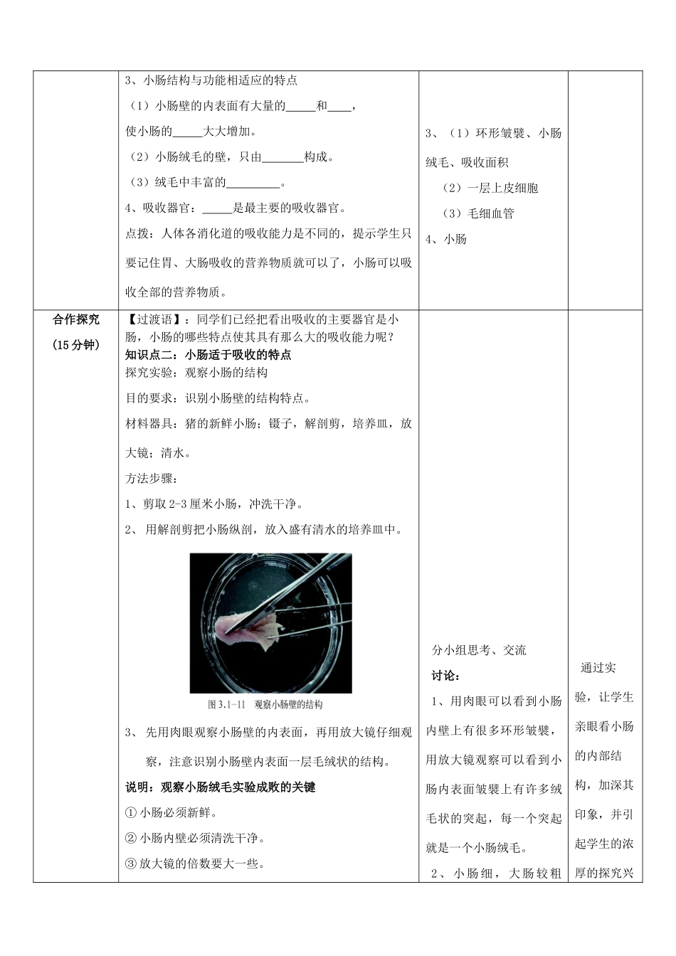 七年级生物下册 3-2消化和吸收教案 济南版_第3页