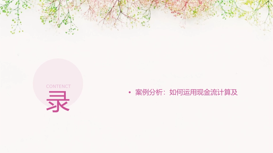 现金流的计算及风险分析课件_第2页