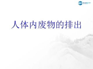 山东省临沂市蒙阴县第四中学七年级生物下册 第四单元 第五章 人体内废物的排出复习课件2 （新版）新人教版