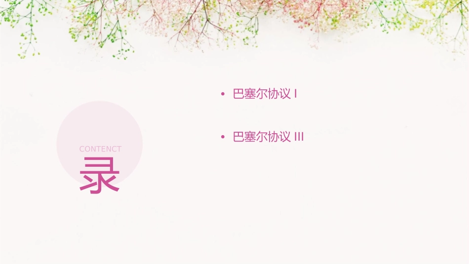 巴塞尔协议一二三通用课件_第2页