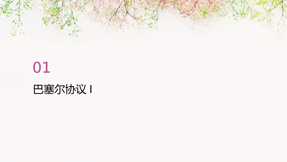 巴塞尔协议一二三通用课件_第3页