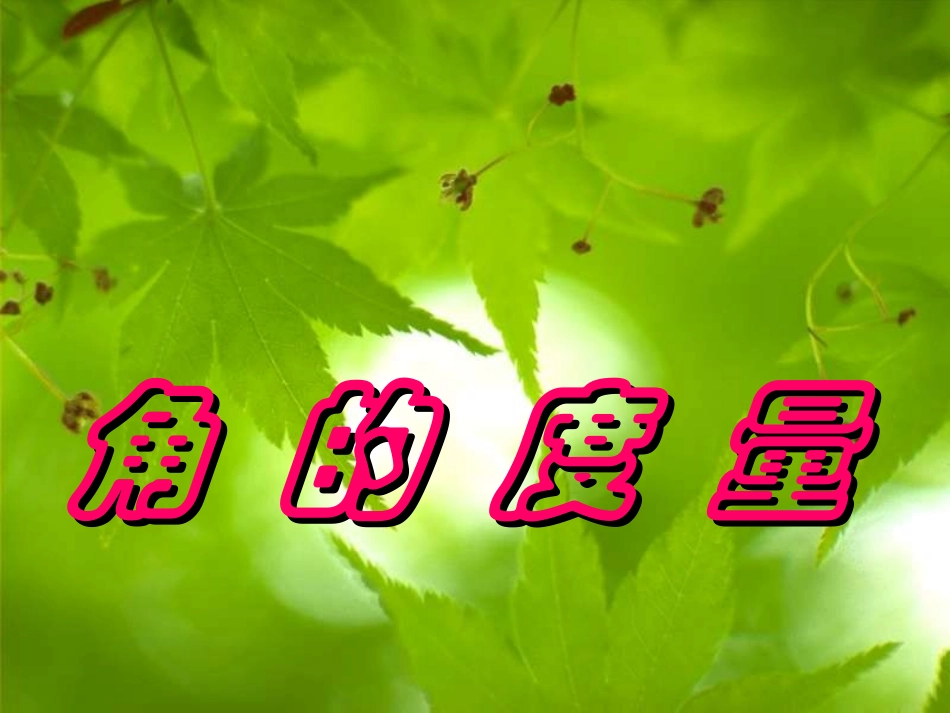 人教版七年级数学上册 角的度量01_第1页