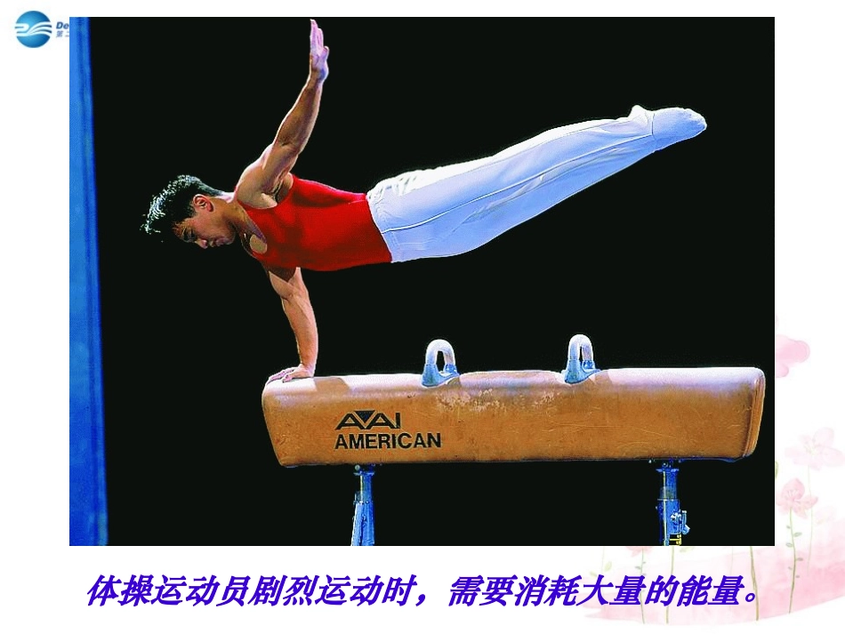 七年级生物下册 第十章 第五节 人体能量的供给课件1 （新版）苏教版_第1页