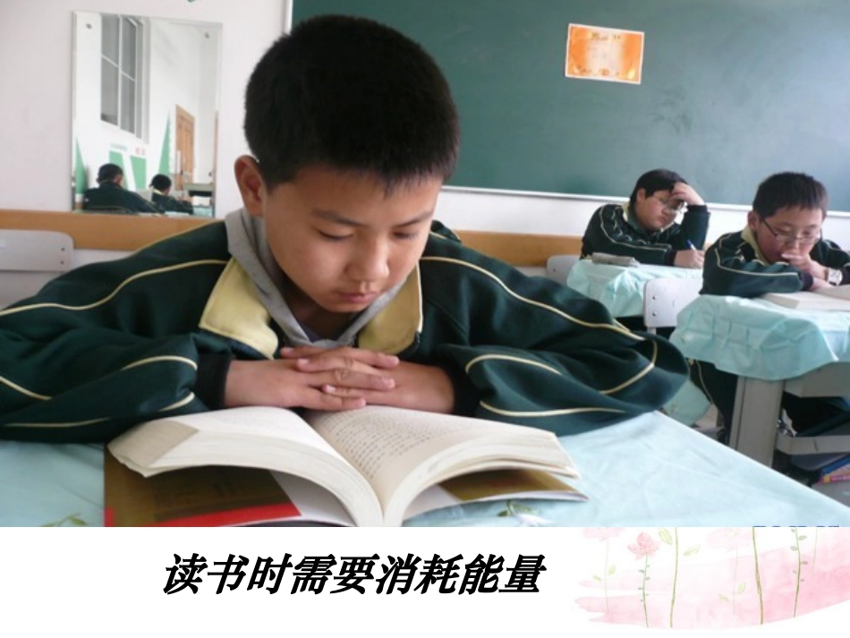 七年级生物下册 第十章 第五节 人体能量的供给课件1 （新版）苏教版_第2页