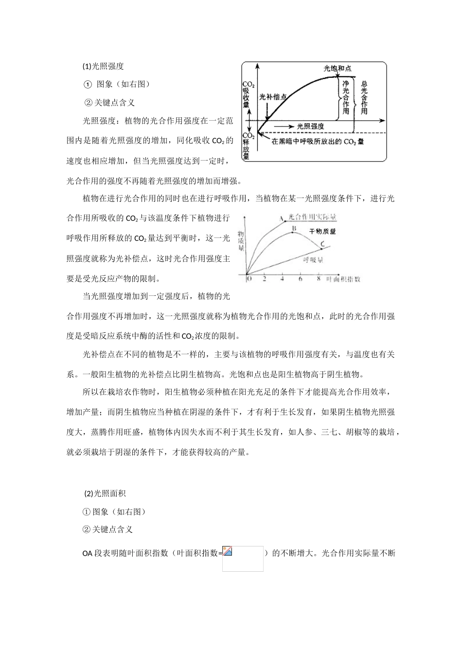 高三生物专题2：光合作用和呼吸作用_第2页