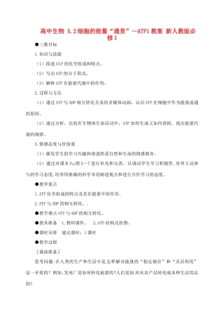 高中生物 5.2细胞的能量“通货”—ATP1教案 新人教版必修1