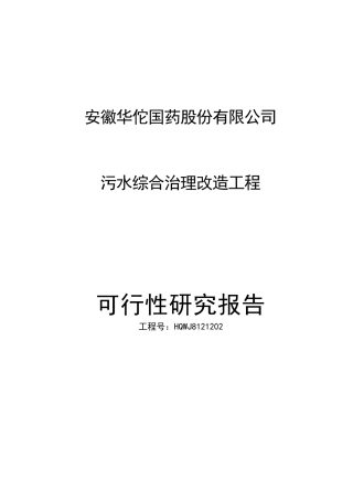 (可研)安徽华佗国药股份有限公司污水综合治理改造工程