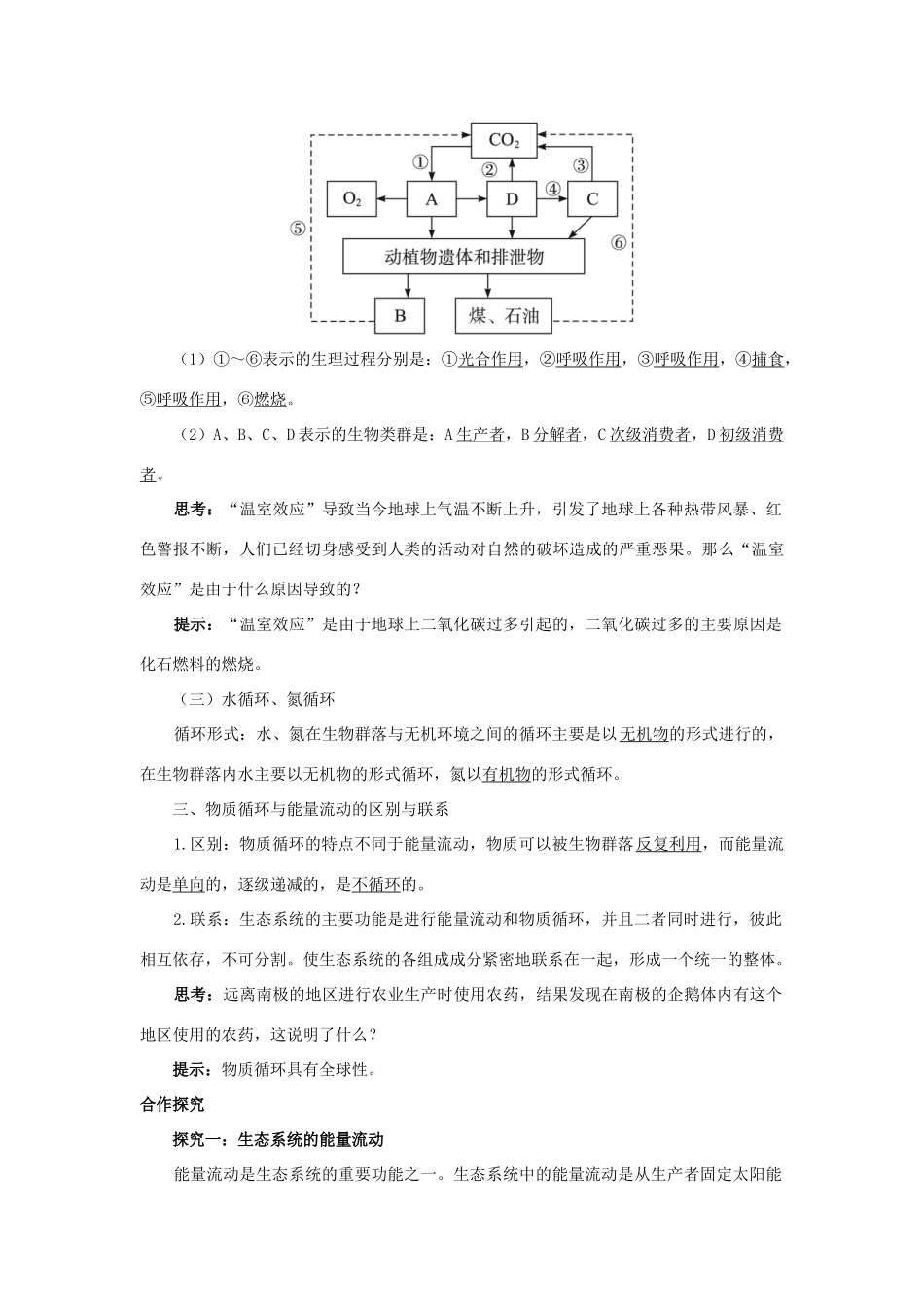 高中生物 第三节能量流动和物质循环辅导教案 浙科版_第2页