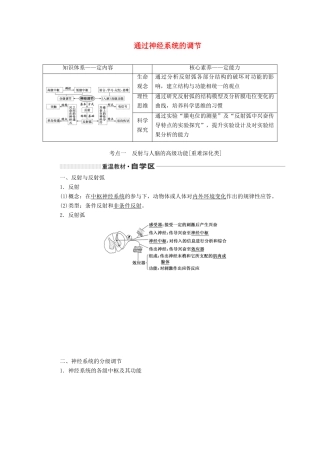 （新课改省份专用）高考生物一轮复习 第八单元 第二讲 通过神经系统的调节讲义（含解析）-人教版高三全册生物教案