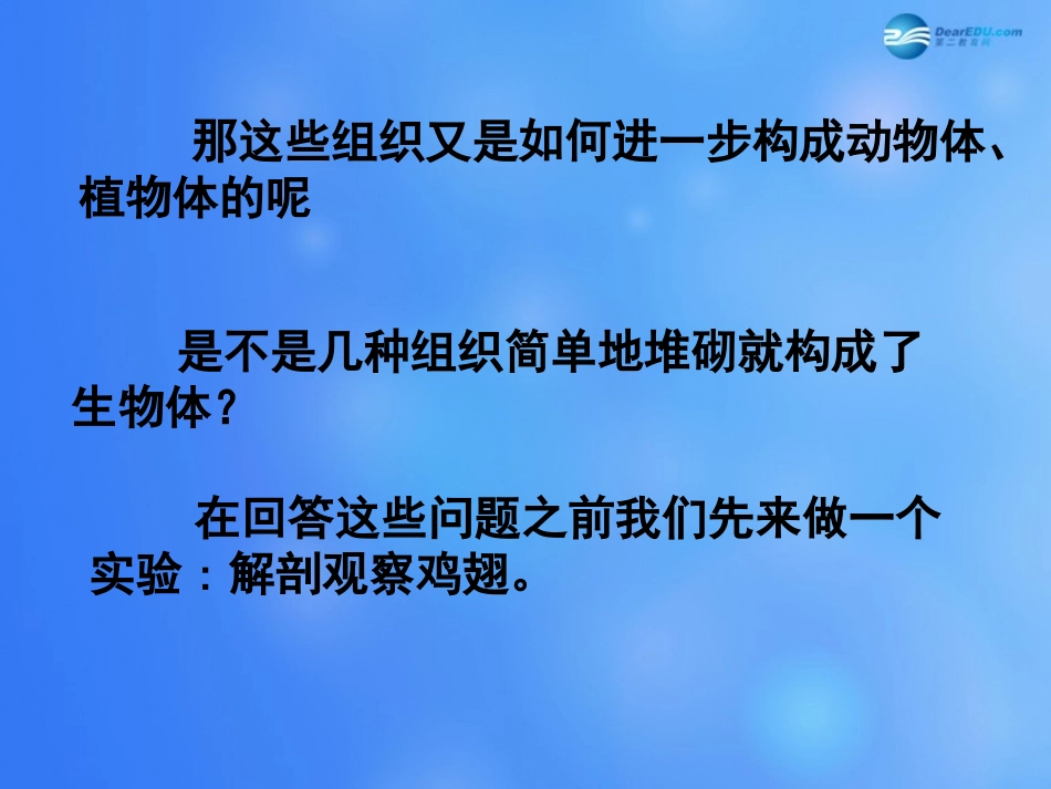七年级生物上册 第4章 第2节 生物体的器官和系统课件1 北师大版_第3页