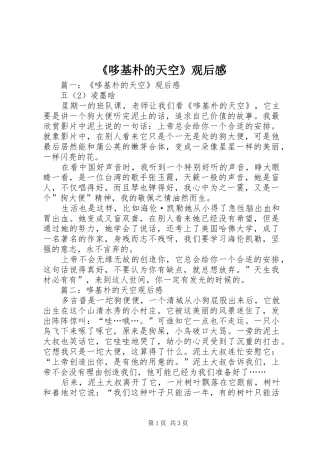 《哆基朴的天空》观后感 