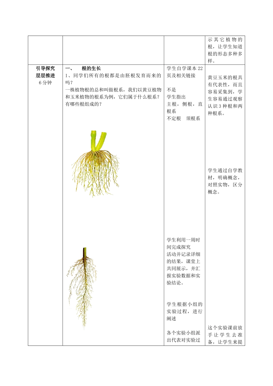 山东省枣庄市峄城区吴林街道中学八年级生物上册 4-1-5 根的结构与功能（第一课时）教案 济南版_第2页