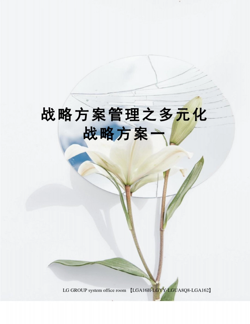 战略方案管理之多元化战略方案一_第1页