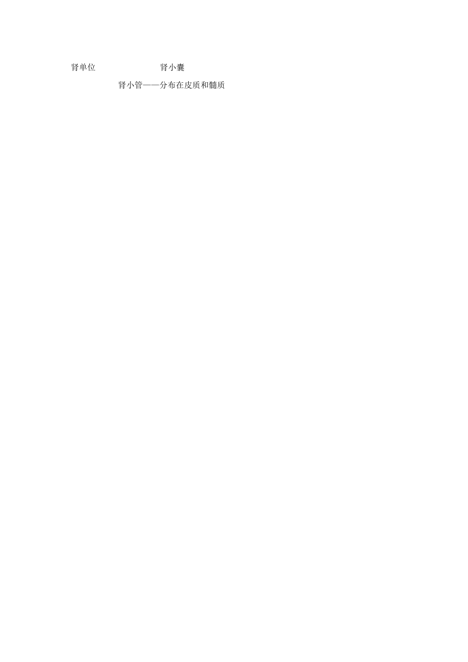 七年级生物下册《11.1 人体泌尿系统的组成》教案2 苏教版_第3页