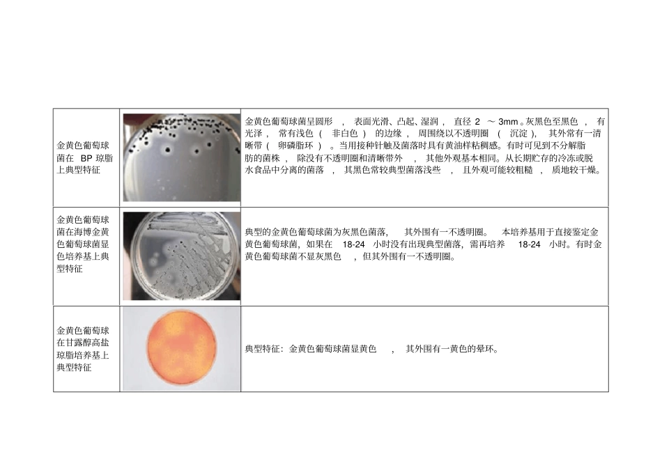 微生物菌落特征形态总结大全_第2页