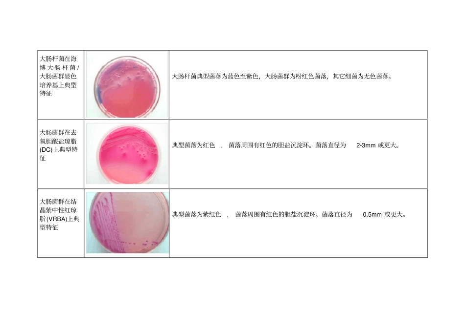 微生物菌落特征形态总结大全_第3页