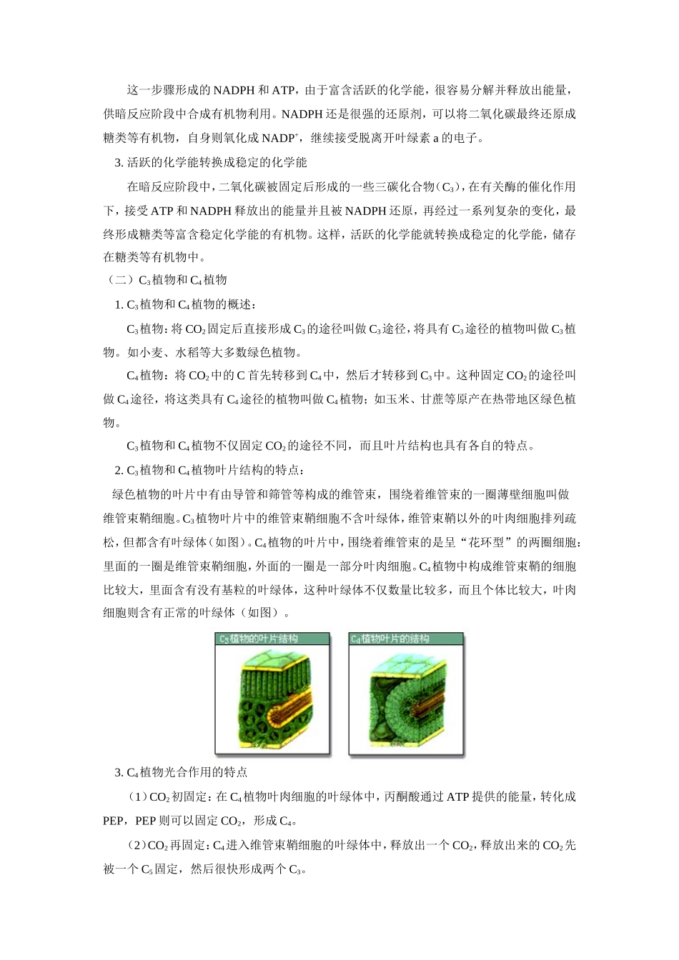 高三生物第一节  光合作用人教版知识精讲_第2页