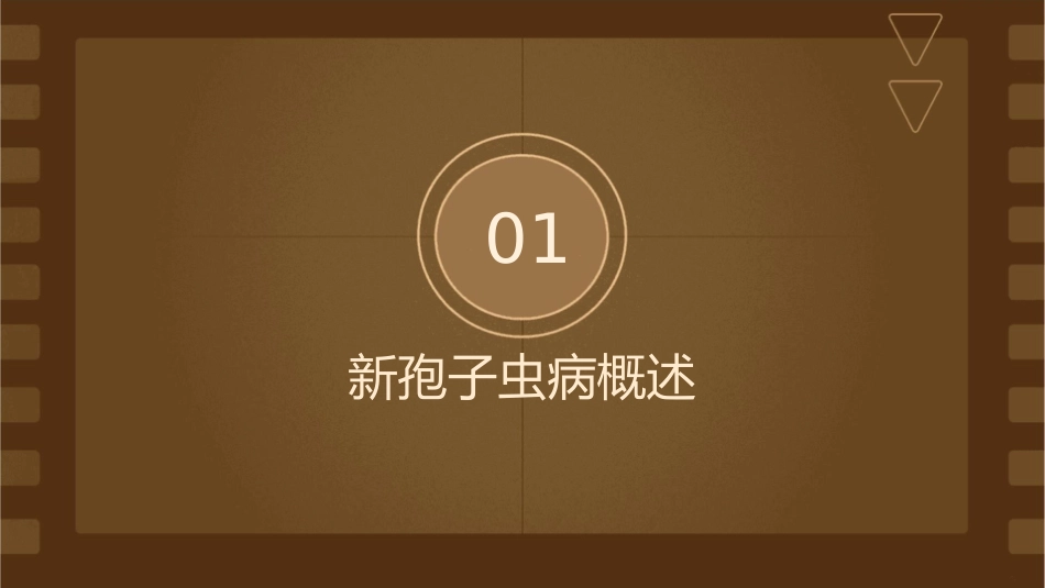 新孢子虫病Neosporosis护理课件_第3页