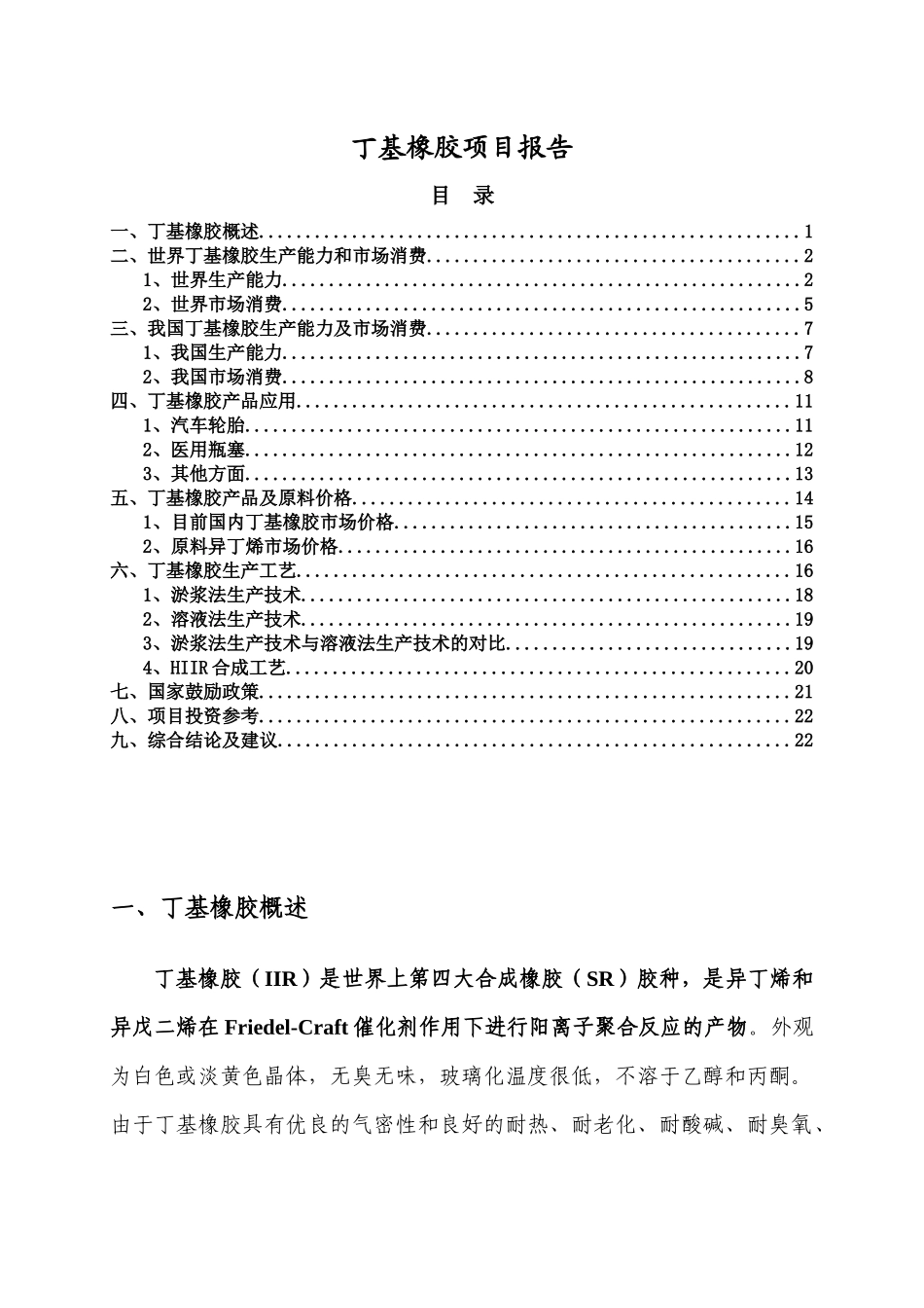 丁基橡胶项目报告XXXX0303_第1页