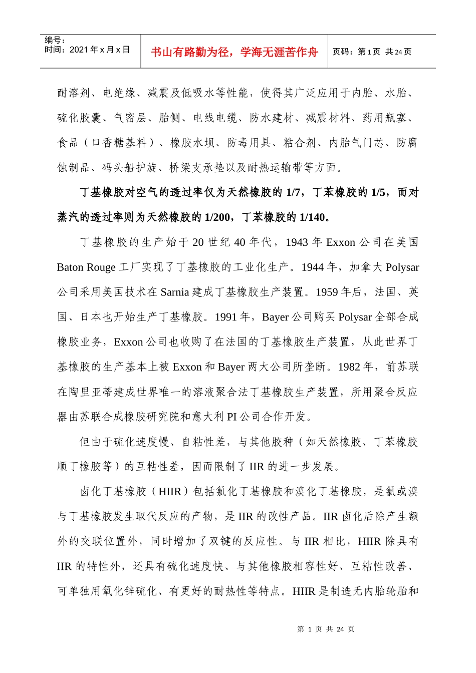 丁基橡胶项目报告XXXX0303_第2页