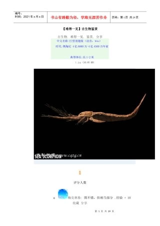 【图文】古生物鉴赏