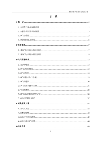 中型铜钼矿矿产资源利用方案(竖井开拓)