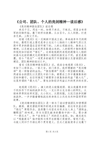 《公司、团队、个人的亮剑精神—读后感》 