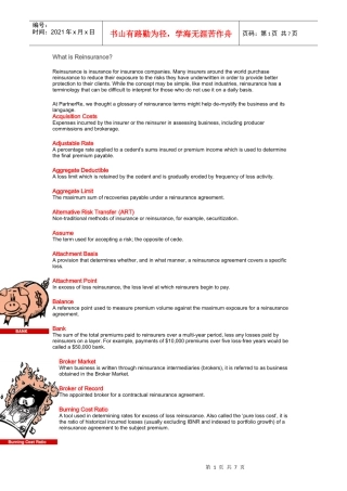 什么是再保险？(DOC 7)