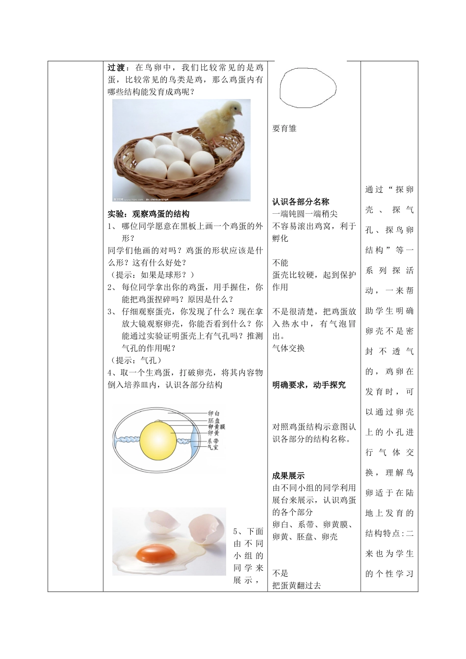 山东省枣庄市峄城区吴林街道中学八年级生物上册 第四单元 第二章 第三节 鸟的生殖和发育教案 济南版_第3页