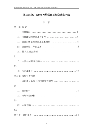 内蒙古银河重化工业有限公司12亿块煤矸石粉煤灰砖生产