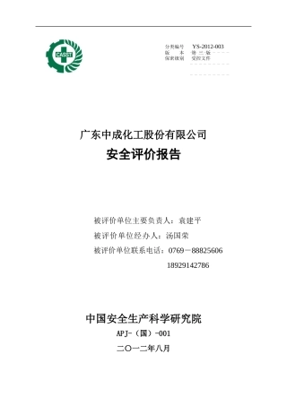 中成化工安全评价报告