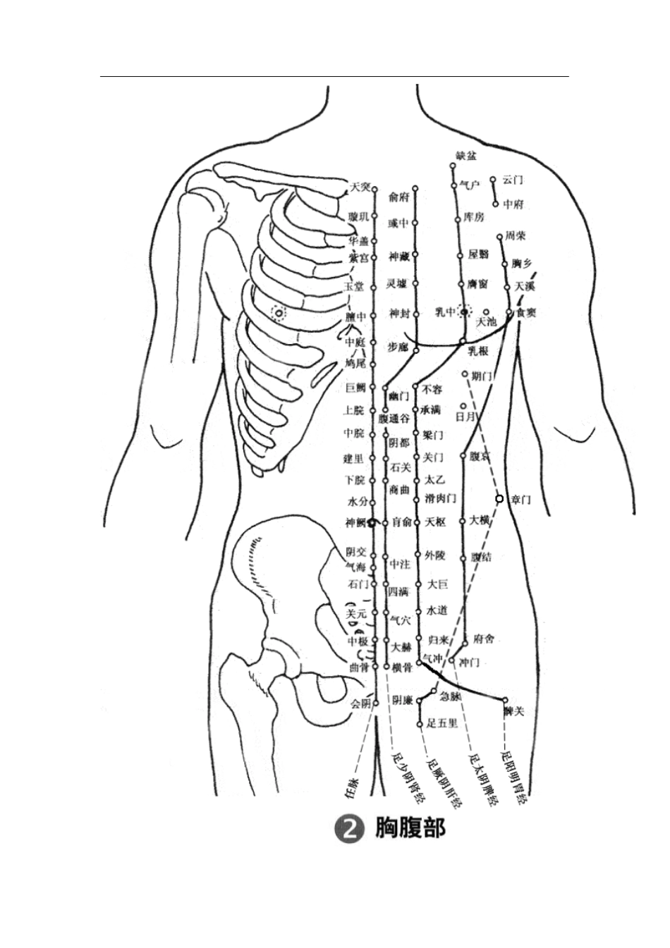 人体穴位图谱(十四经穴;按部位分解)_第3页