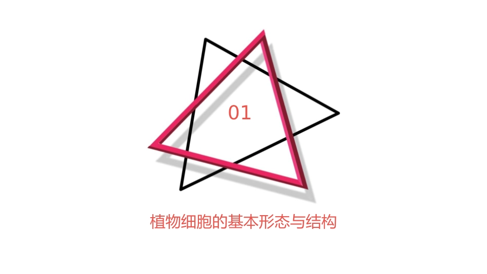 药用植物学 植物细胞与组织植物细胞形态与结构护理课件_第3页