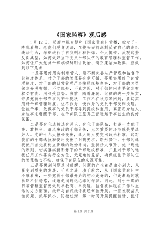 《国家监察》观后感 