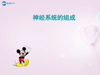 山东省泰安新泰市七年级生物下册 6.2 神经系统的组成课件2 新人教版