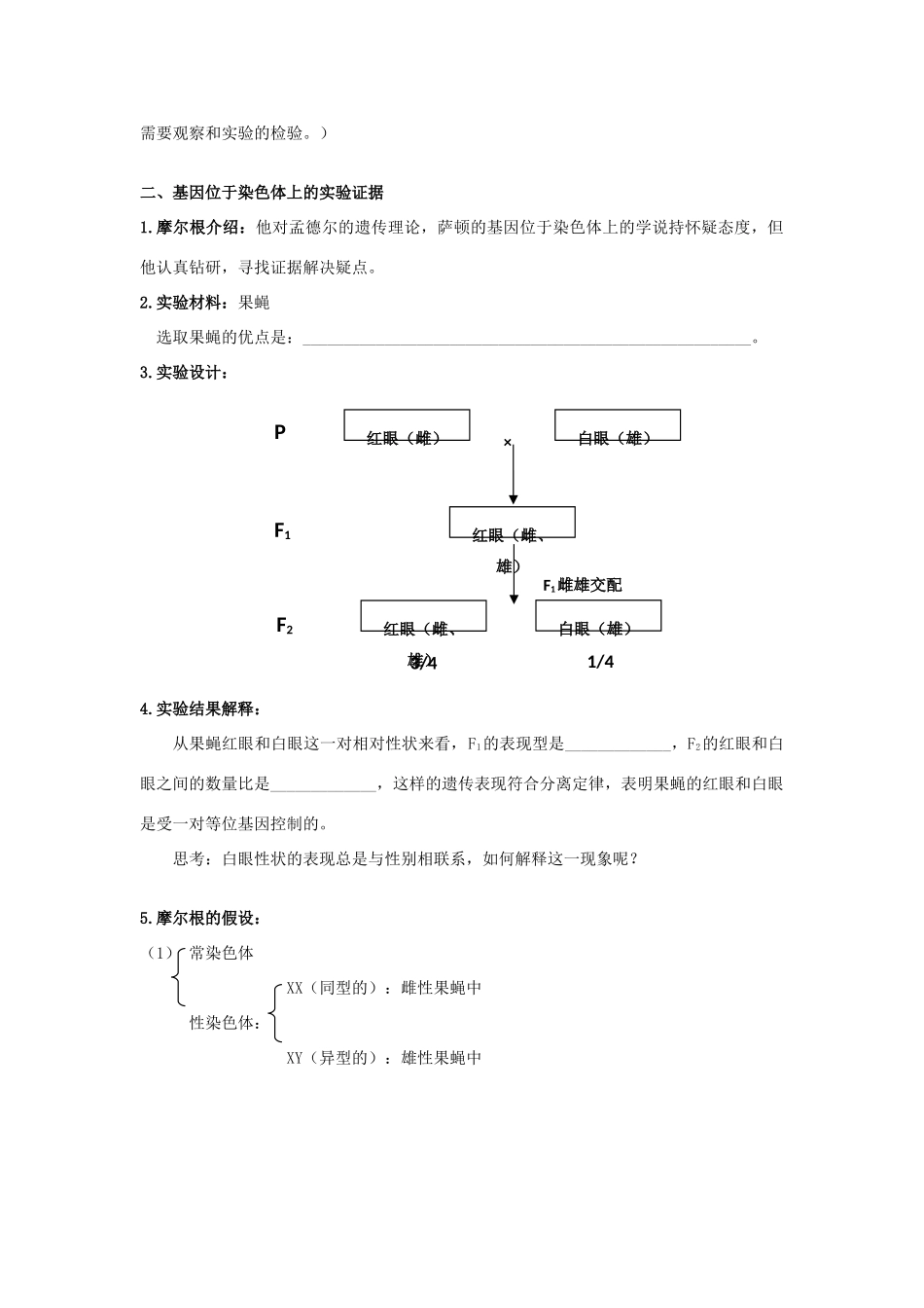 高中生物 第二章 基因和染色体的关系 2.2 基因位于染色体上教案 新人教版必修2-新人教版高二必修2生物教案_第2页