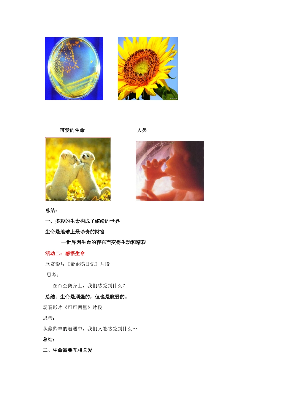 七年级数学上第二单元 认识新自我 第三课 世界因生命而精彩教案人教版_第3页