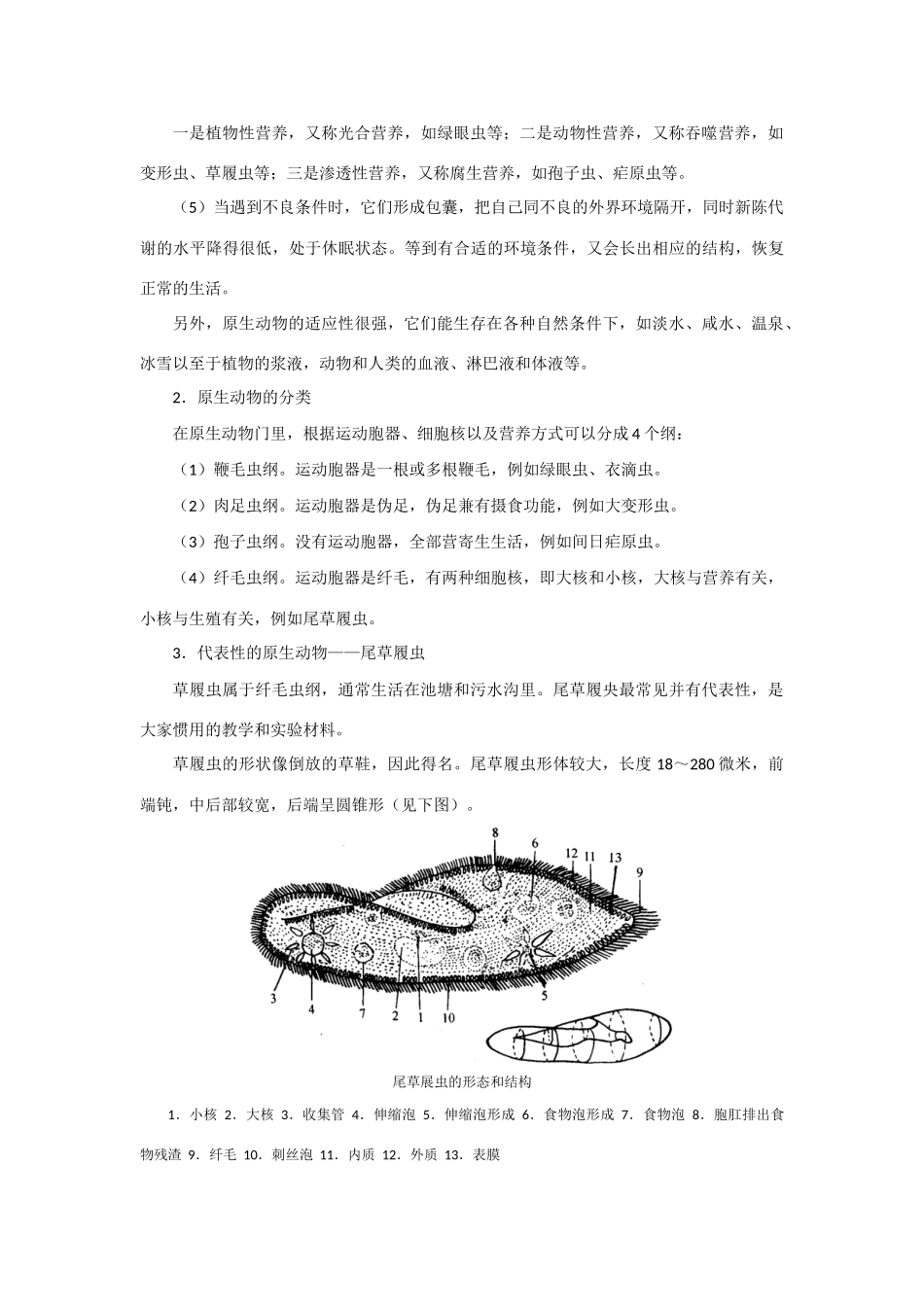高中生物 第四讲 无脊椎动物竞赛辅导讲座_第2页