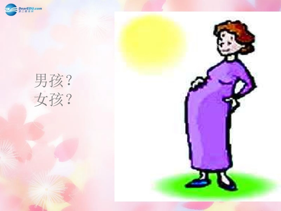 山东省泰安市新泰八年级生物下册 第二章 第四节 人的性别遗传课件 新人教版_第1页