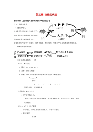高中生物： 第3章 细胞的代谢（教案）浙科版必修1