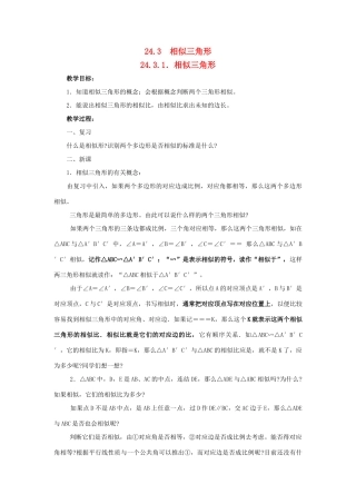 九年级数学上册24.3相似三角形教案华东师大版
