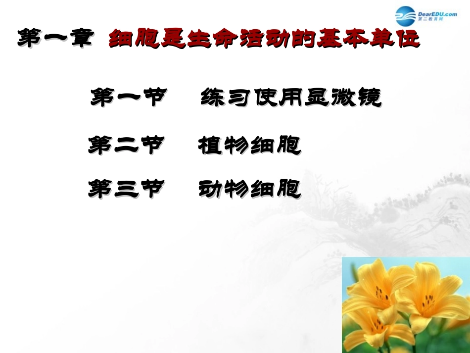 山东省临沂市蒙阴县第四中学七年级生物上册 第二单元 第一章 细胞是生命活动的基本单位复习课件 （新版）新人教版_第2页
